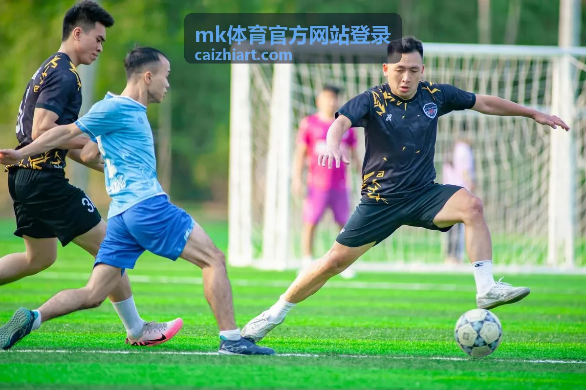 mk体育官方网站登录账号中的数据面板与统计对照界面