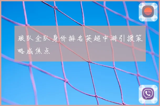 狼队全队身价排名英超中游引援策略成焦点