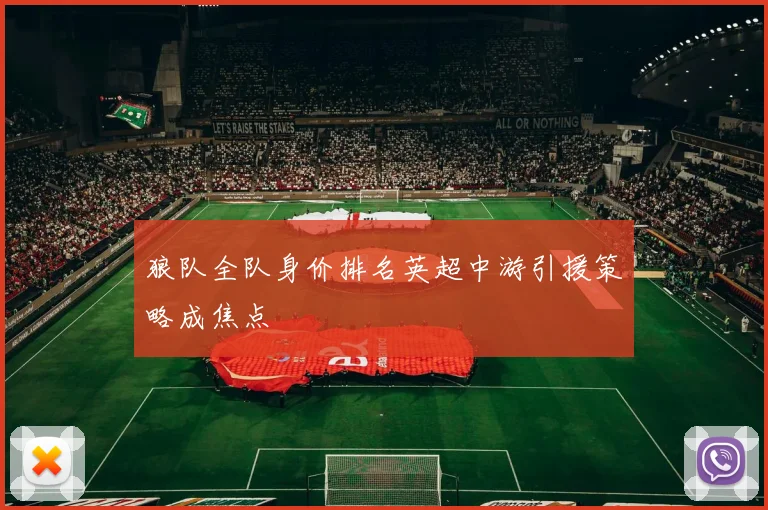 狼队全队身价排名英超中游引援策略成焦点