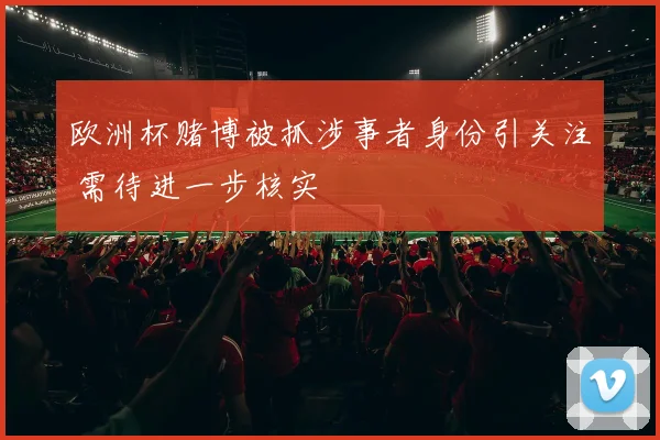 欧洲杯赌博被抓涉事者身份引关注 需待进一步核实